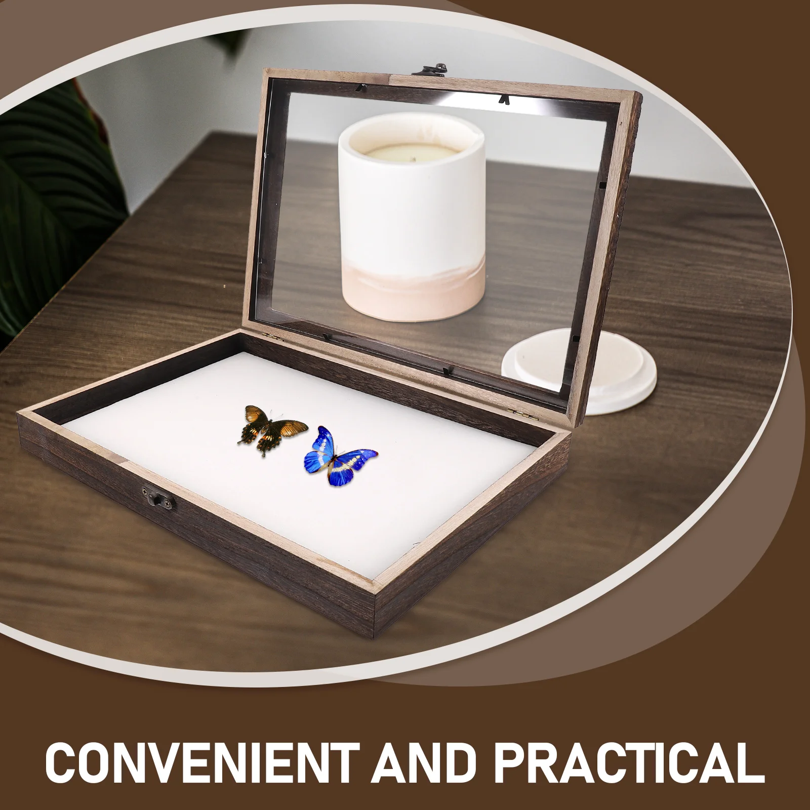 

1 Set Wooden Specimen Display Box Transparent Lid Insects Plants Storage Vintage Shadow Case Frame Holder Pin Container Storage
