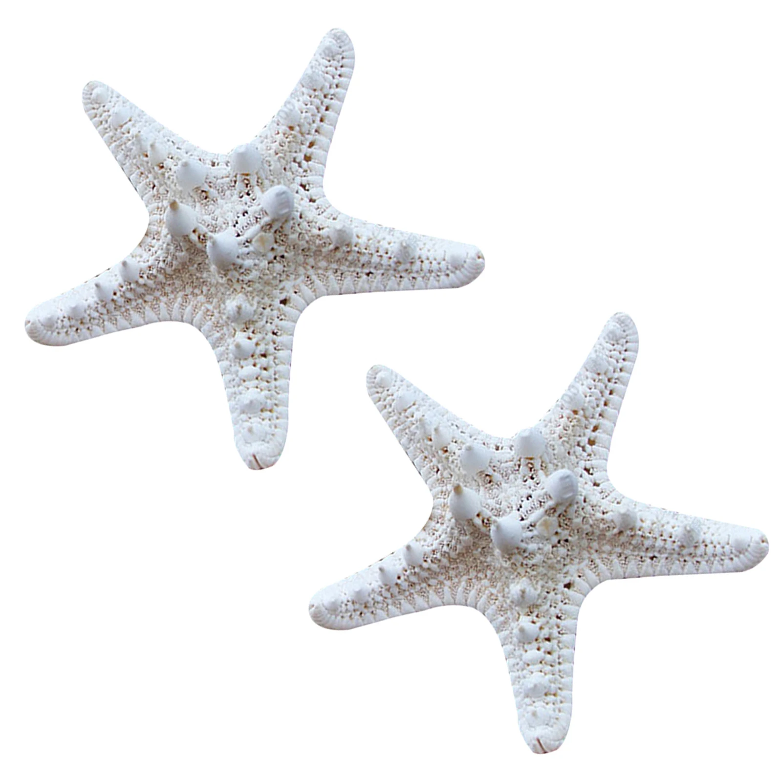 

2Pcs Natural Sea Star Ornaments Ocean Theme Decorations for Home Wedding Party Craft Table Decor Photo Props Sea Star Ornaments