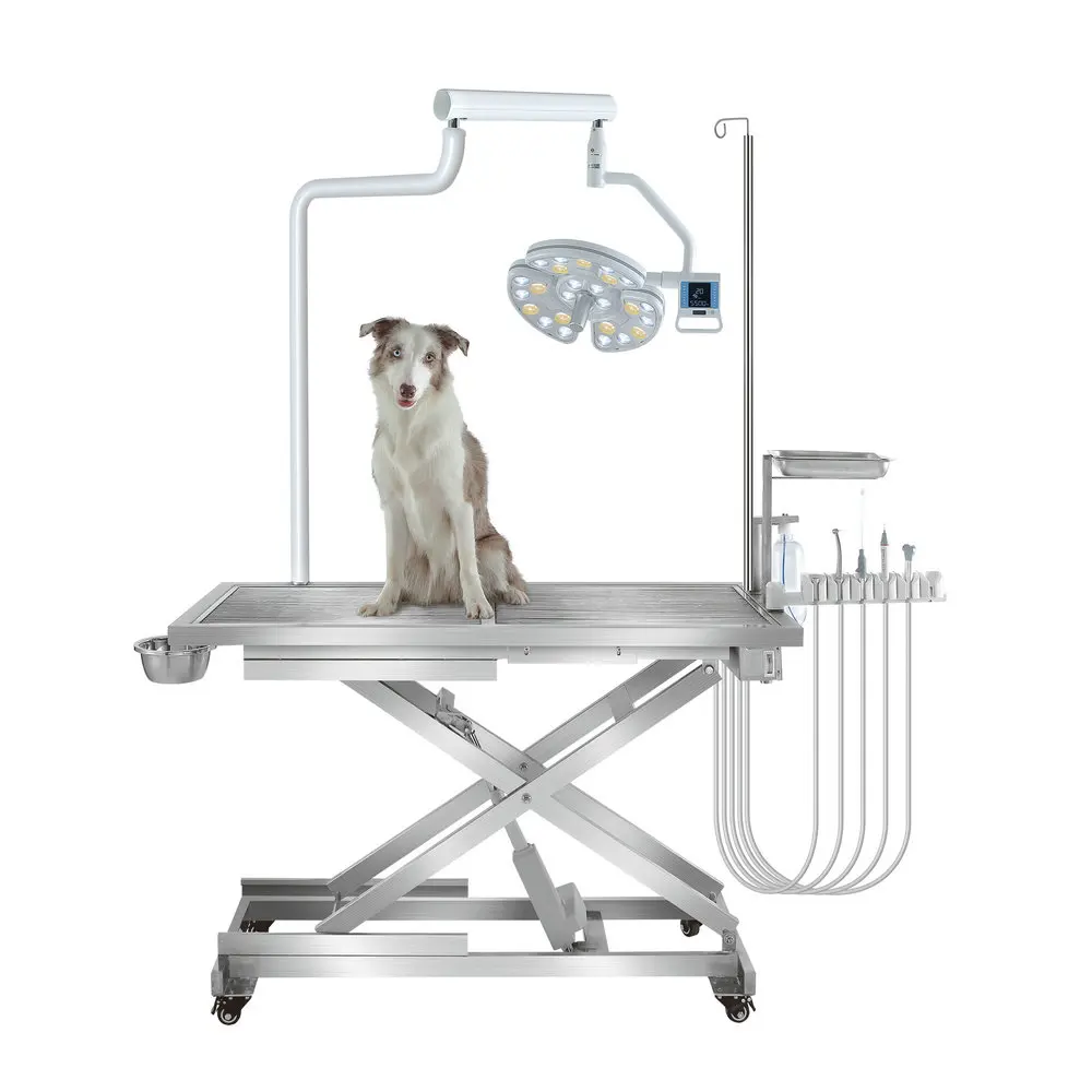 Veterinary surgical stainless steel pet dog examination table electric animal dissection surgical table