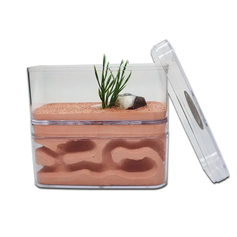 Plaster Ant Farm with Workshop Highly Moisturizing Ant Nest Pet Anthil Castle Ant House with Feeding Area Insect Box 12*6*10cm