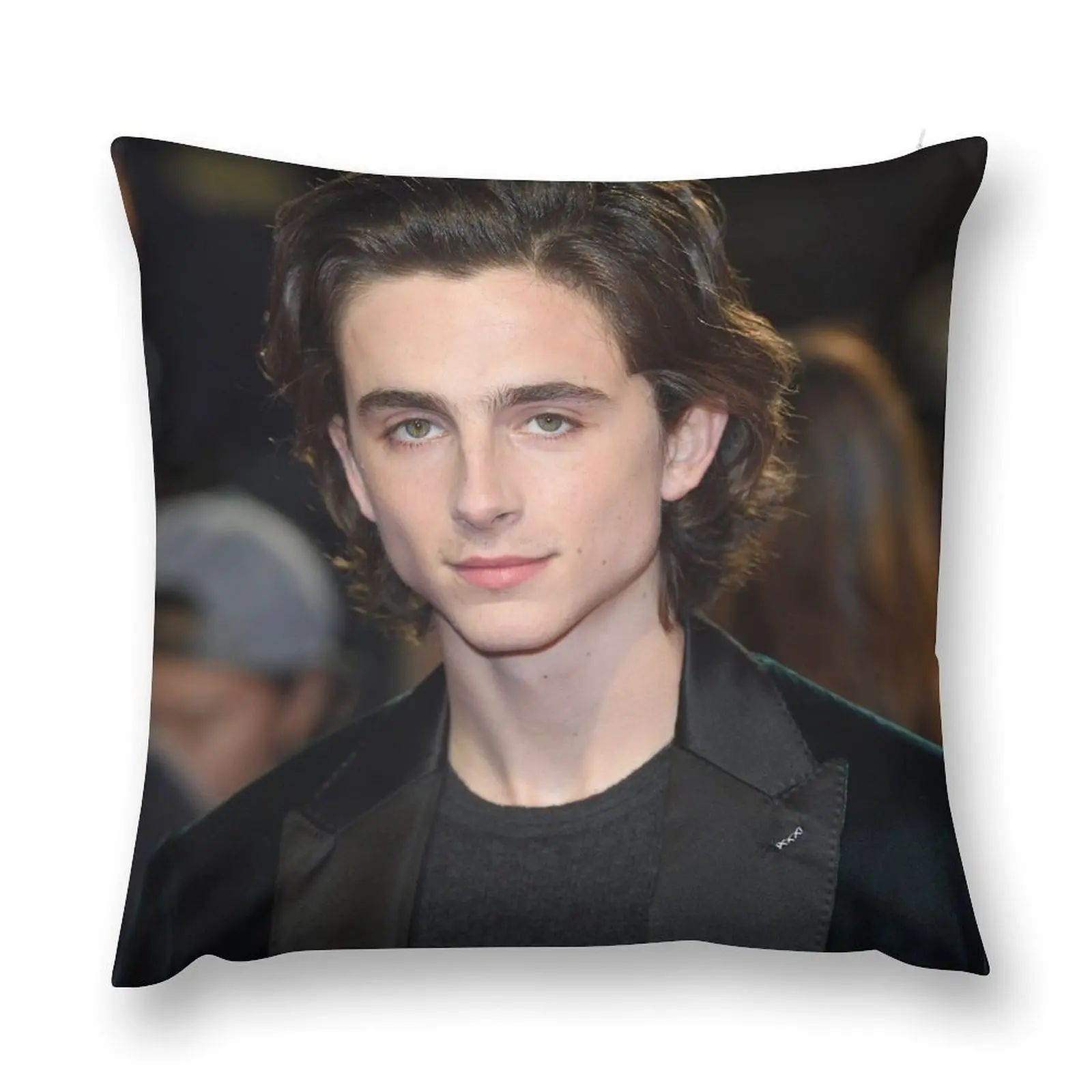 

timothee chalamet Throw Pillow Pillow Cover Christmas Pillowcase Decorative Pillow Covers For Sofa