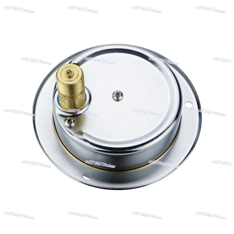 Supply M20 * 1.5 Thread Axial Belt Edge Seismic Pressure Gauge YN100ZT Stainless Steel Seismic Pressure Gauge
