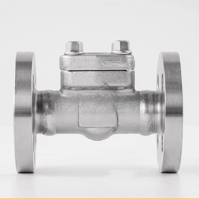 Forged Stainless Steel Lift Swing, Check Valve Check Valve
