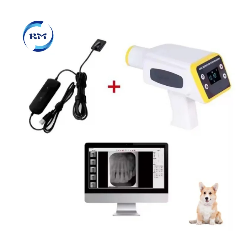 Vet Dental X Ray Machine With Sensor By Computer Handheld Pet Tooth Diagnostic Equipment For Animals Hospital Clinic