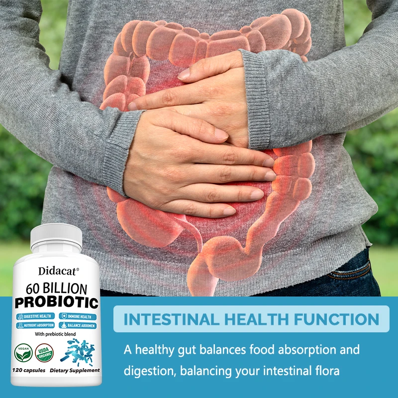 Probiotic Supplements Balance Cholesterol, Support Digestive, Gut and Immune Health, and Improve Nutrient Absorption