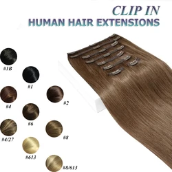 Clip In Hair Extensions #6 Chestnut Brown Double Weft Thick 120G 8Pcs Silky Straight Brazilian Clip In Human Hair Extensions