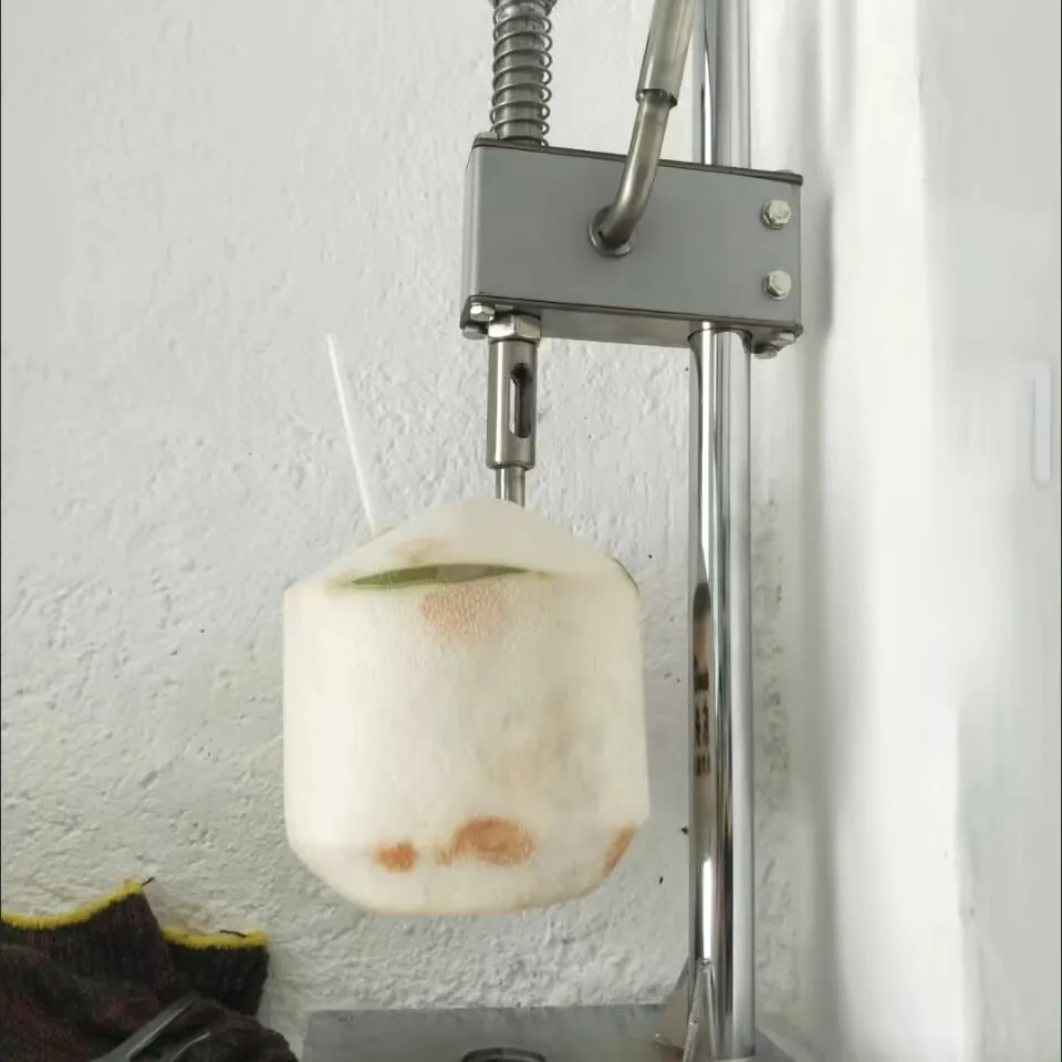 Coco Water Punch Ta…