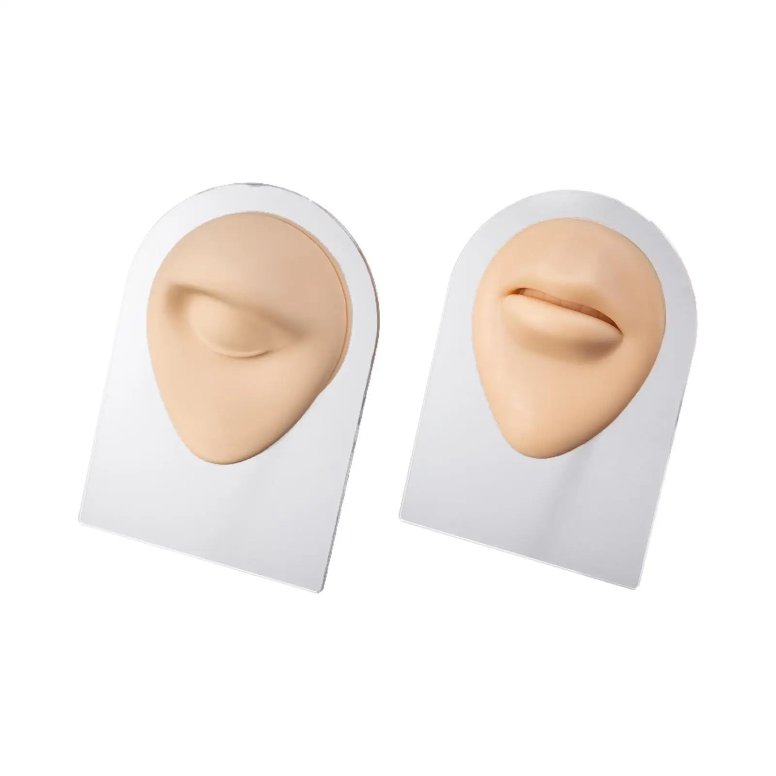 Modelo de boca flexible de silicona artificial Modelo de parte facial delicada para principiantes de ejercicios