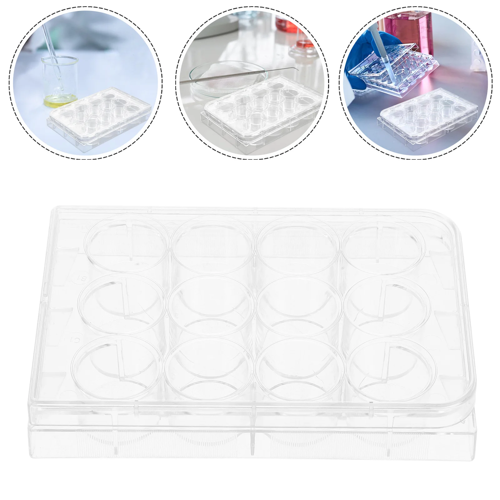 

10Pcs Tissue Culture Plate Transparent 12-Hole Flat Bottom Lab Cell Culture Tray for Laboratory Experiment Lab Equipment