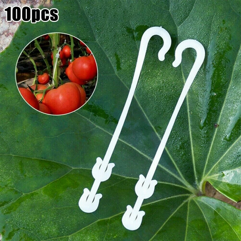 Gancho para la oreja en forma de J para jardín, Clips de sujeción para plantas y verduras, con hebilla fija para fruta, cereza y tomate, 100 piezas