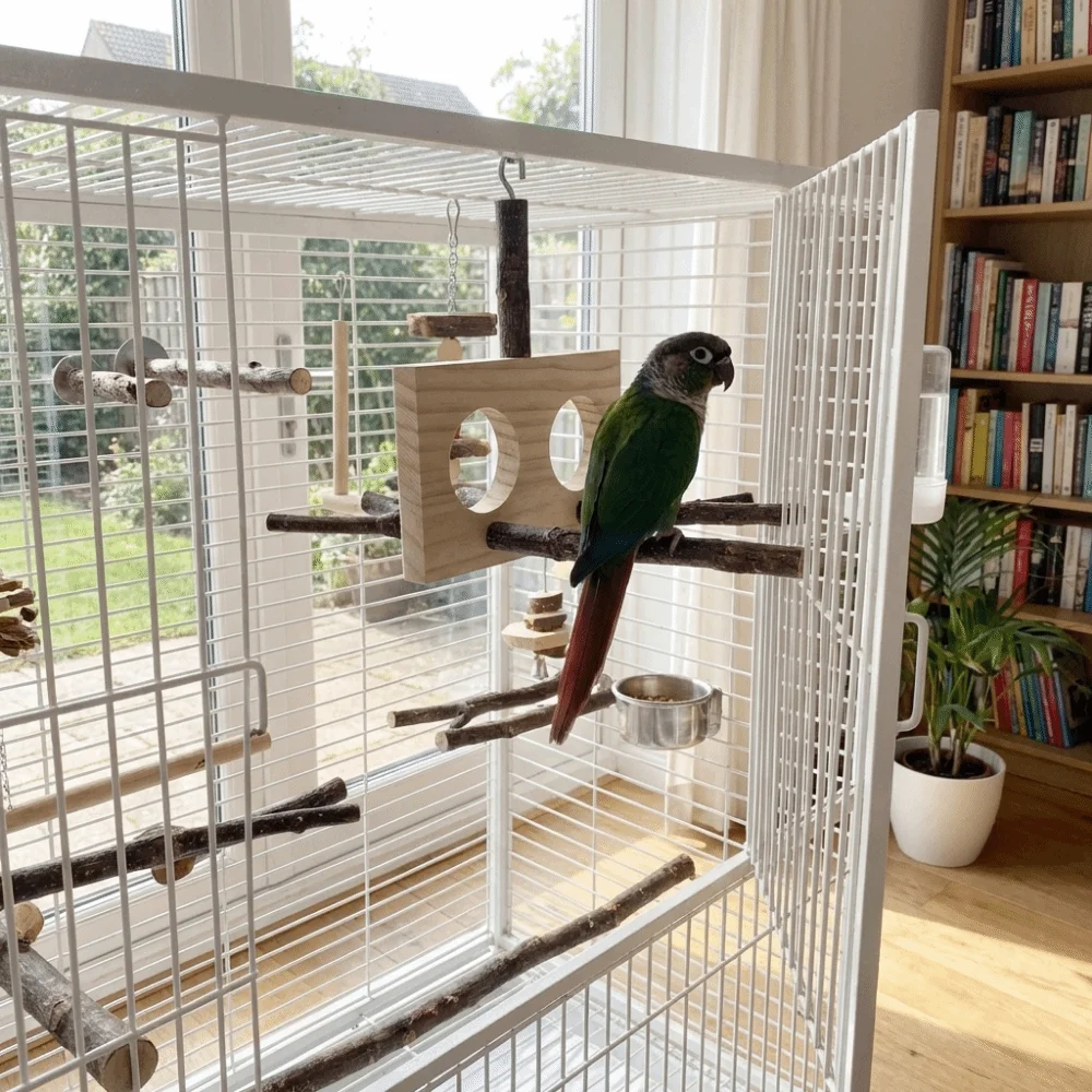 Natural Wood Bird B…