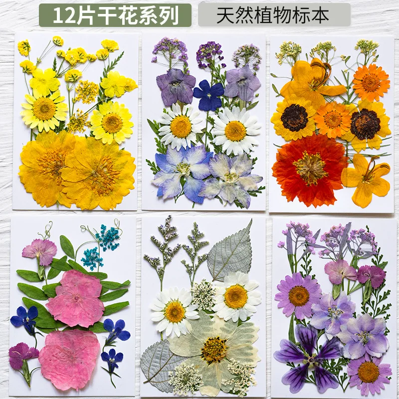 

Children's Dried Flowers DIY Plant Specimens Handmade Flower Field Embossed Flower Decoration Glue Handmade Mobile Phone Case Embossed DIY Material