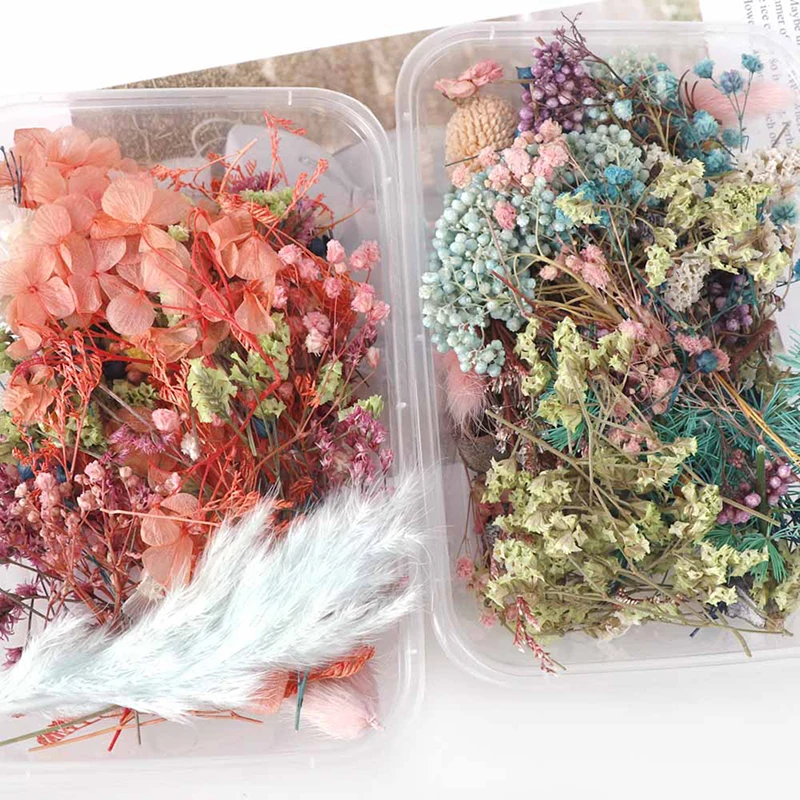 1 Box Dried flowers For Party Festival Decoration Epoxy Resin Real Dry Plant Making Photo Frame Souvenirs Craft DIY Accessories