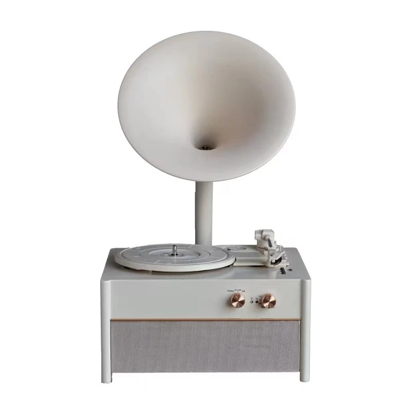 

vinyl record player, phonograph, bluetooth speaker, radio, all-in-one