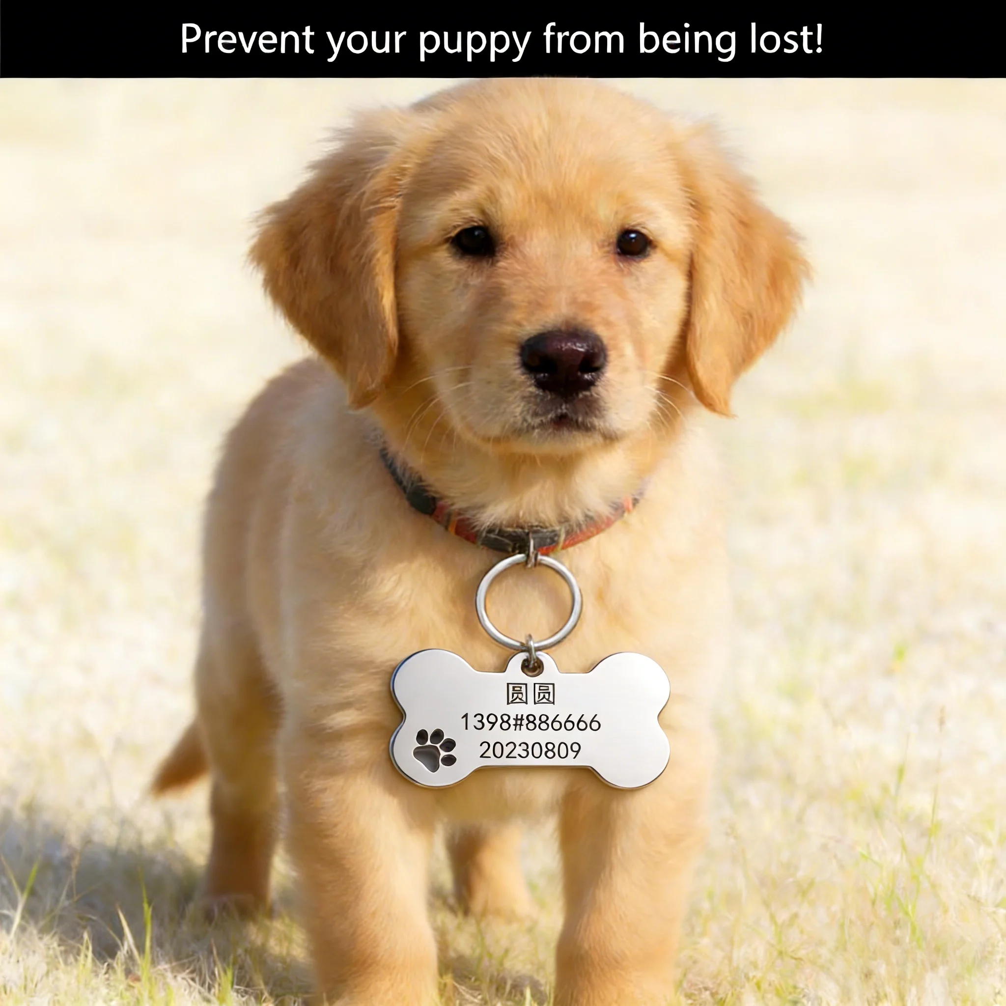 Custom Engraved Hollow Bone Dog Tag Key Chain Personalized Pet ID Tag Keychain Anti-Loss Pet Pendant in Trendy INS Style D01