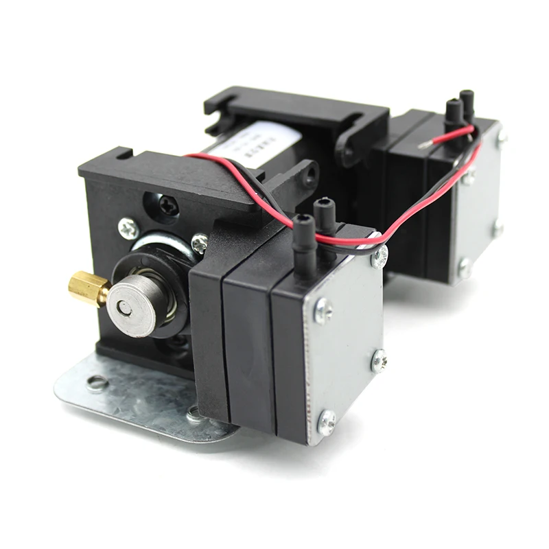 12V/220V High Positive Negative Pressure Vacuum Pump Large Beauty Instrument Mute Double Head Diaphragm Pump Micro Air Pump