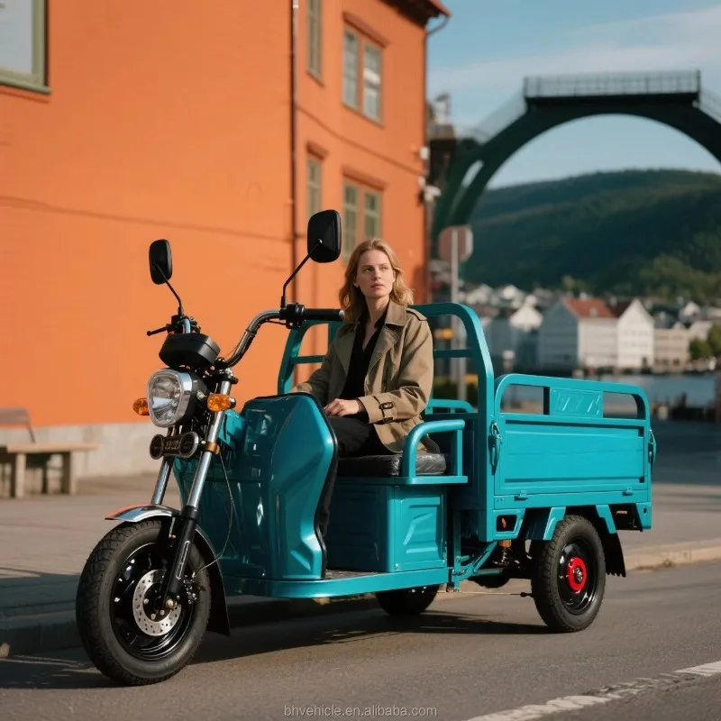 Electric Rickshaw Cargo Tricycle Open Cargo Bucket Anti Wear Tire Long Driving Range Three Wheel Electric Vehicle Agricultural
