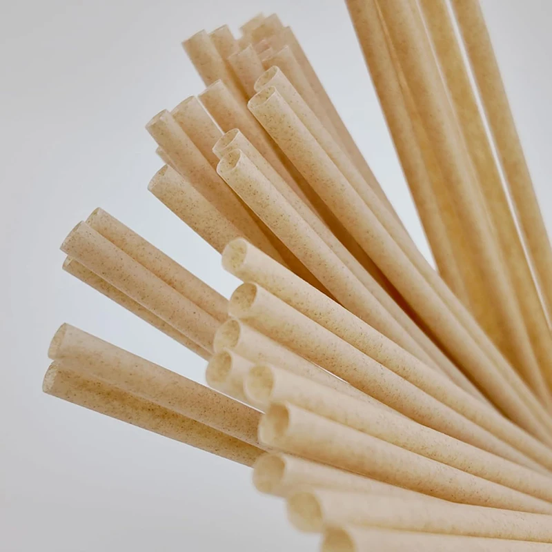 100Pcs Bagasse Drinking Straws, Disposable Straws for Birthday Wedding Bridal Party, Milk Soda Juice Cocktail Shakes Supplies