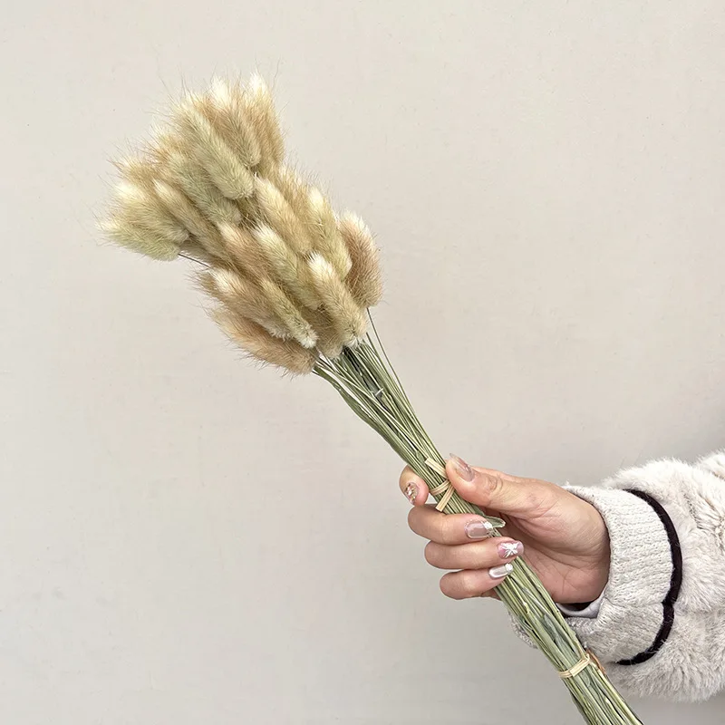 Natural Fluffy Pampas Grass Dry Pompous Grass Decor Wedding Flower Boho Decor Natural Pompas Flower Bouquet Millet flore - Image 2