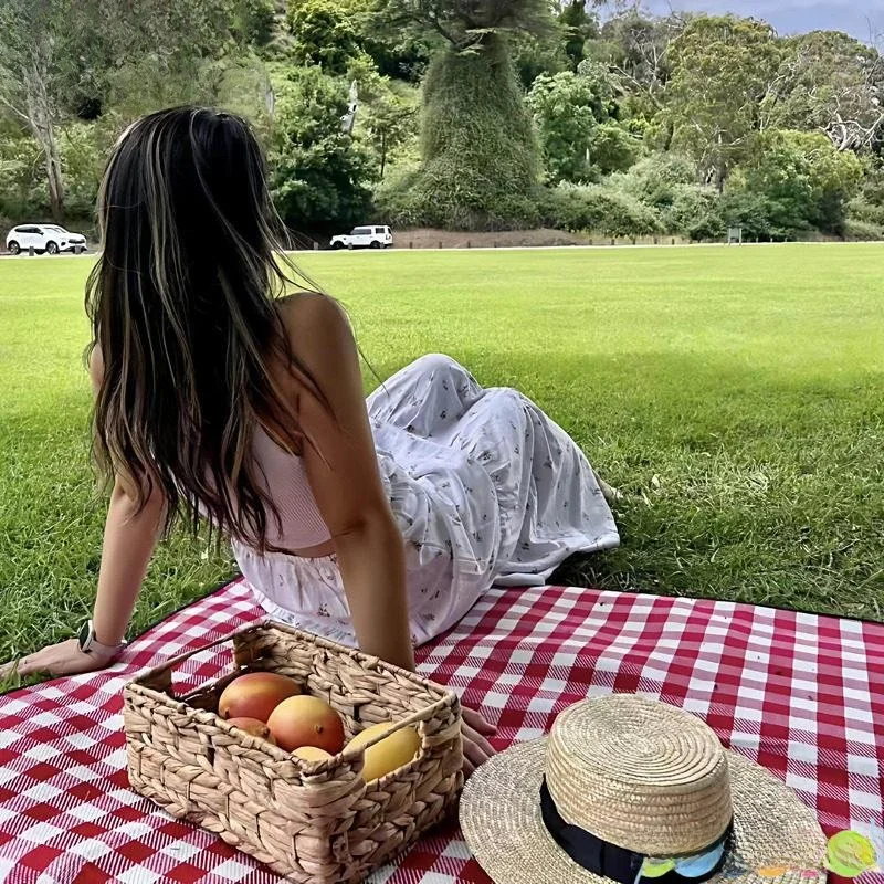 

Утолщенный одноразовый коврик для пикника, водонепроницаемый, влагостойкий, для кемпинга, путешествий, весенних прогулок, Valley Fly Blue