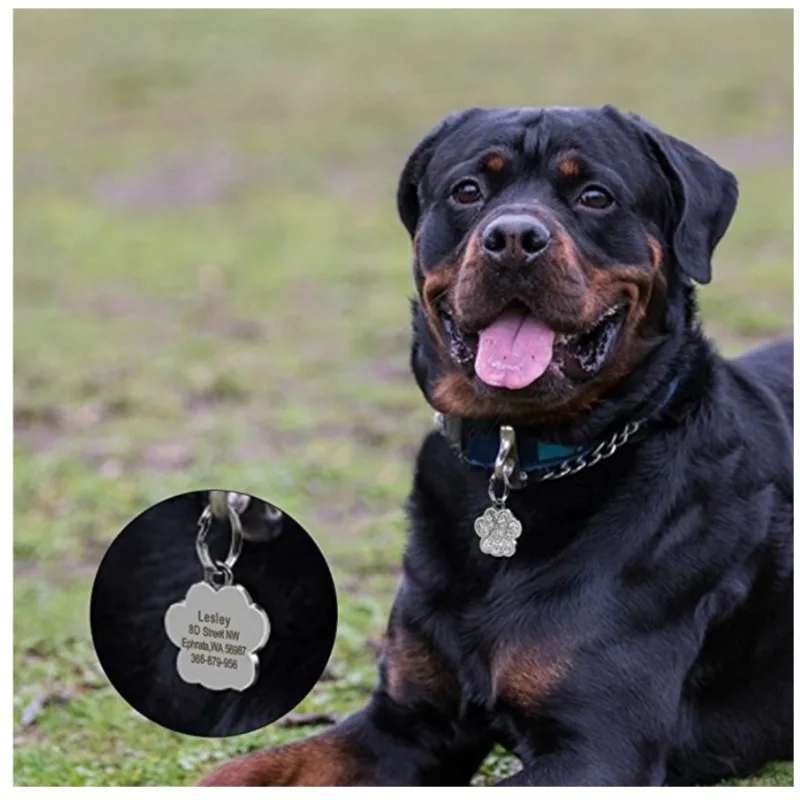 Stainless Steel Engraved Pet Name Collar Pendant ID Tags Personalized Anti-lost Engraved Diamond Pendant Necklace For Cat Dog ID