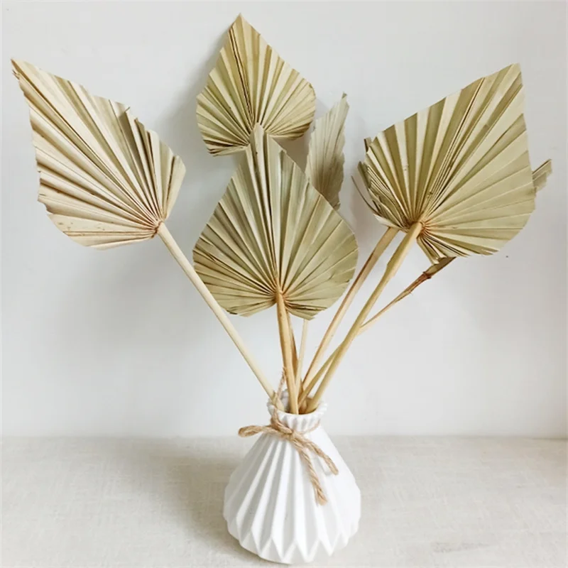 1/2PCS Palm Fan Leaf Dried Flower Palm Leaves In Different Shapes Pampas Grasses Branches DIY Wedding Decorations Home Decora