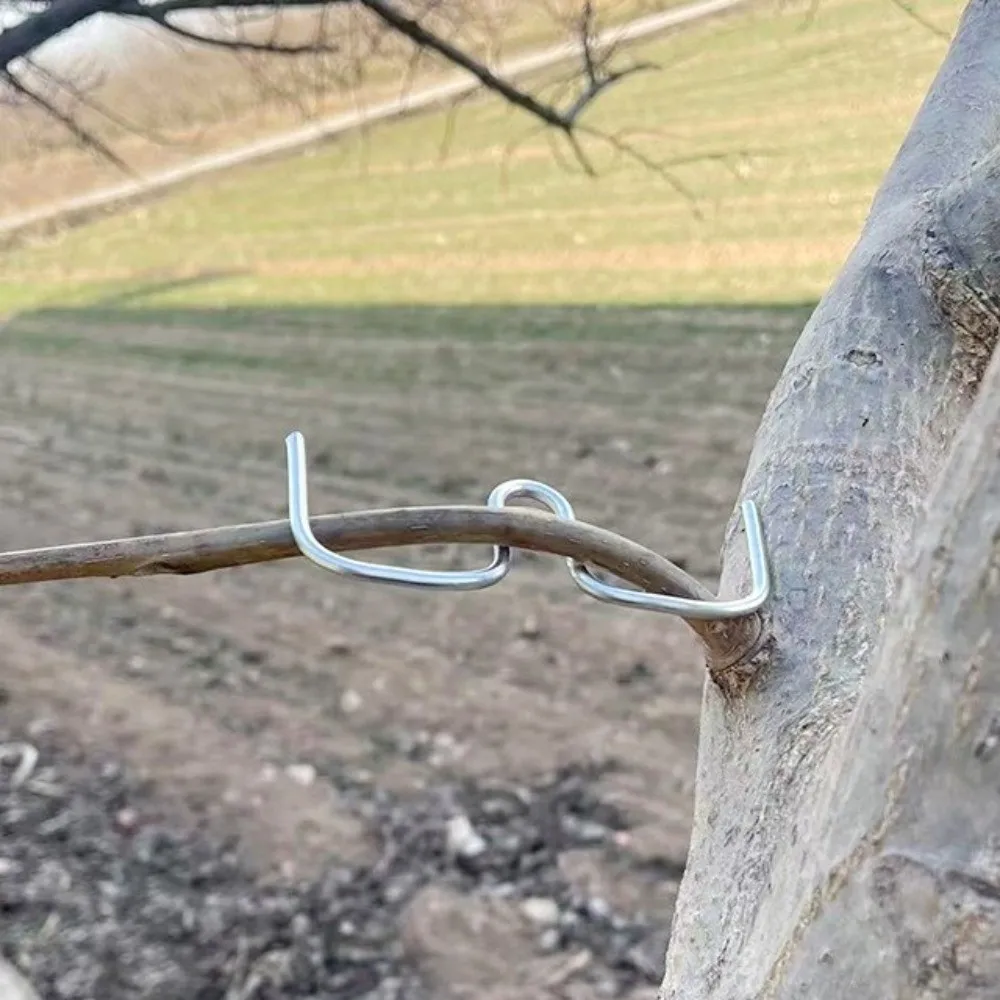 10Pcs M-Shaped Fruit Tree Branch Puller Metal Branch Bends Branch Shaping Device Shape Fixator Heavy-Duty Tree Branch Bender