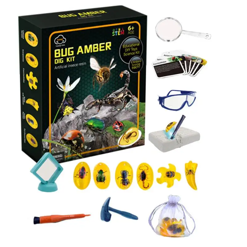 Excavate Fly Toys Kit Amber Excavation Toys Fly Model Interactive STEM Toy Science Kits Educational Toys Dig Set Animal