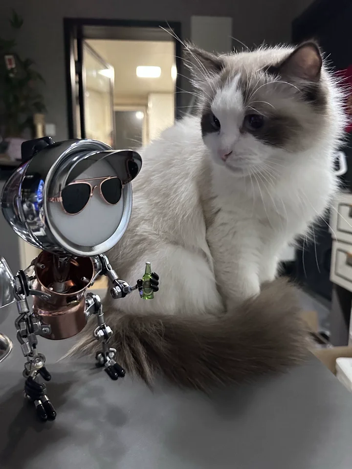 Factory direct sales of creative industrial style computer atmosphere light punk handmade robot desktop ornament