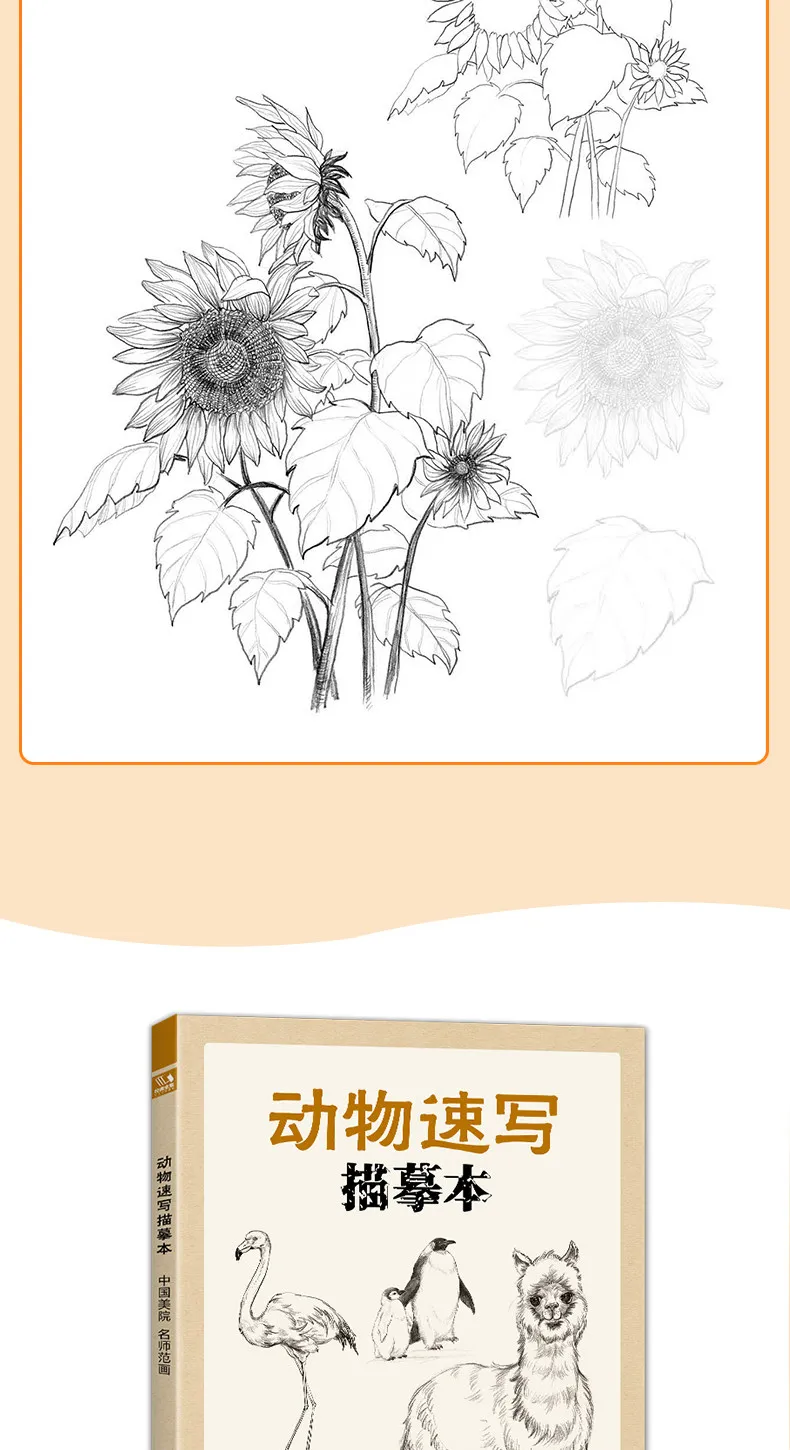 Blumen-Tier-Skizzen-Übungsheft, Null-Grundlagen-Zeichentutorial, Selbststudium, Linienkunst, Kopieren, Handzeichnung, Bleistiftskizze, Aquarell, Neu – Detail 9
