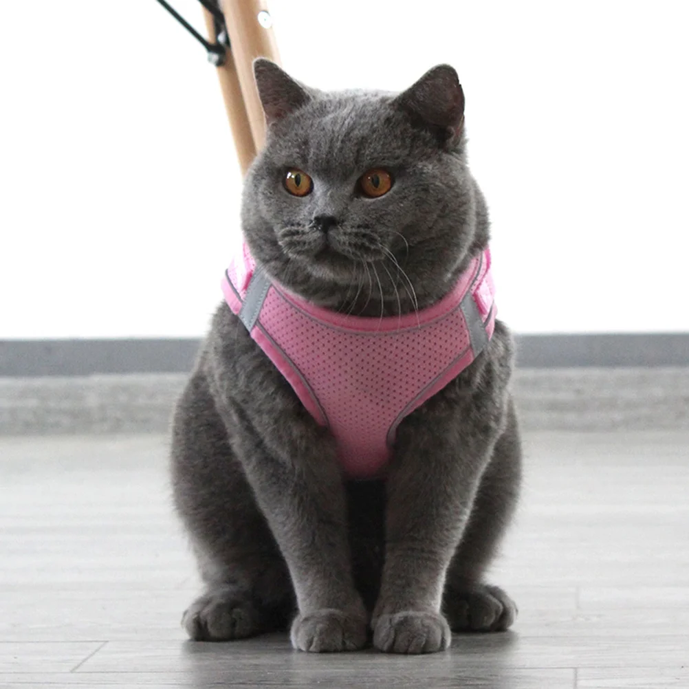 

Pink M Size Dog Harness and Leash Set Reflective Chest Strap Breathable Vest Design Durable Easy to Clean Pet Accessory