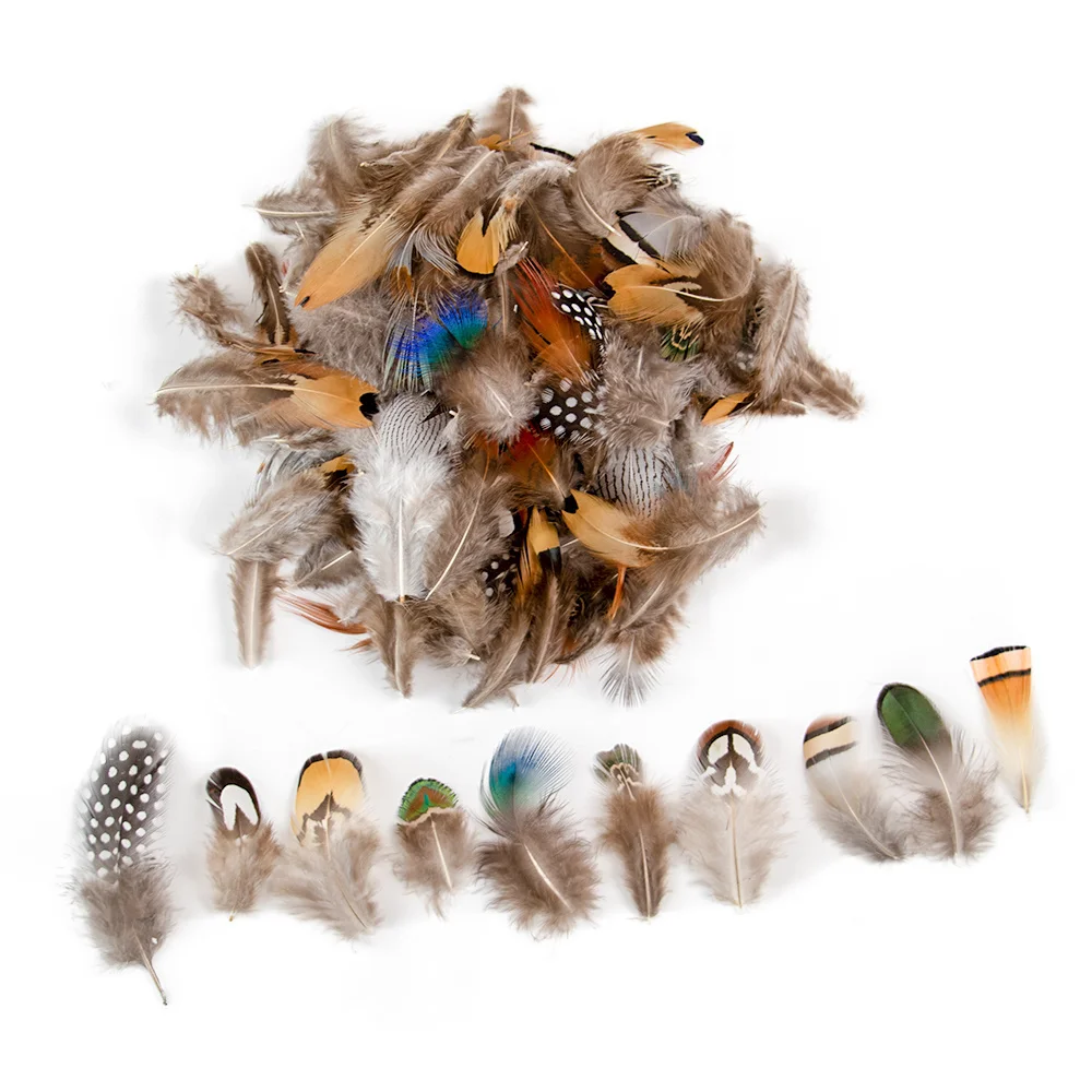 50PCS Natural Pheasant Feathers DIY Crafts Headdress Decoration Clothing and Hat Adornment Dream catcher Handicraf Decoration