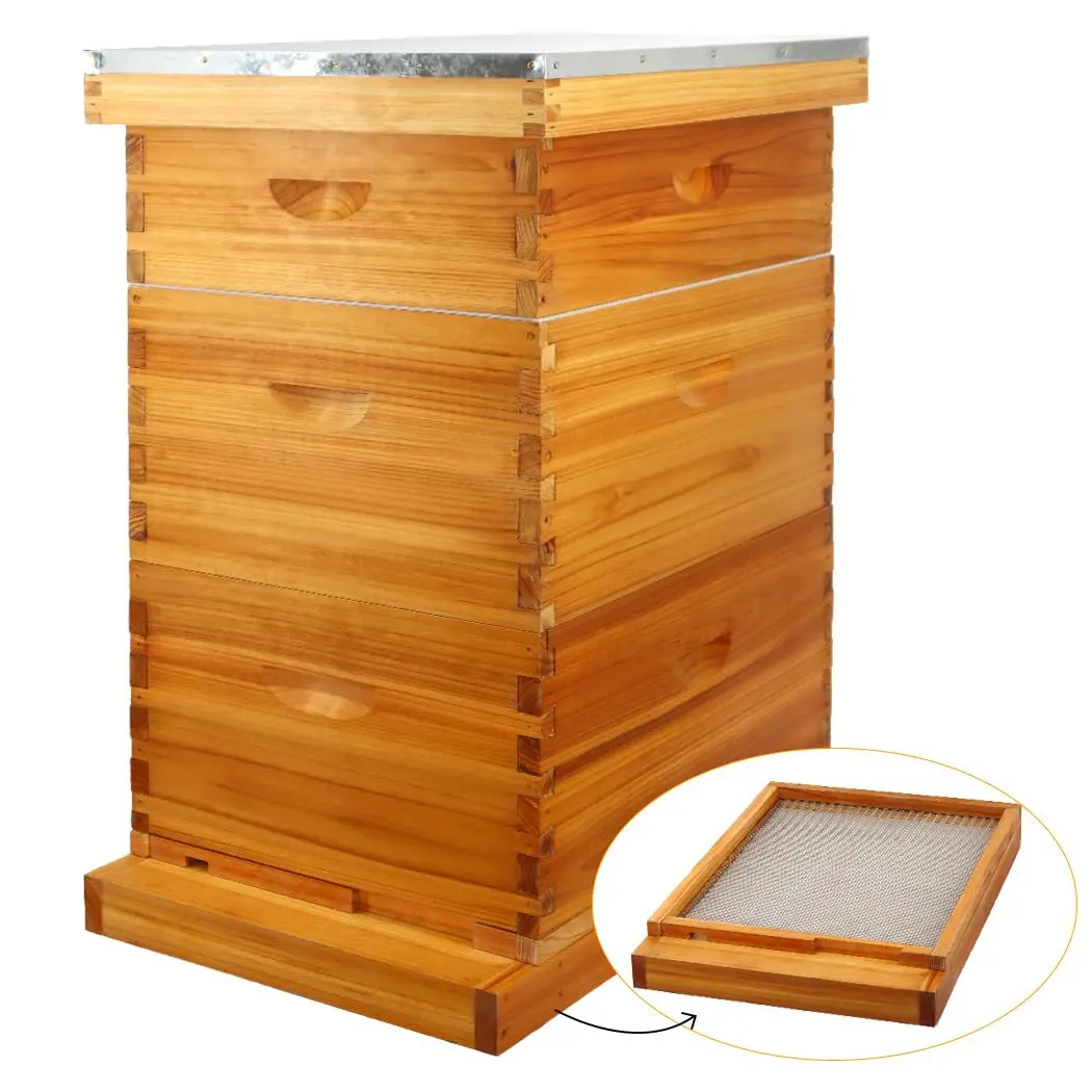10 Frame Screened Bottom Board Beehive Dipped in Beeswax, Bee Hives Kit Includes 2 Deep Boxes & 1 Medium Box with Beehive Frames