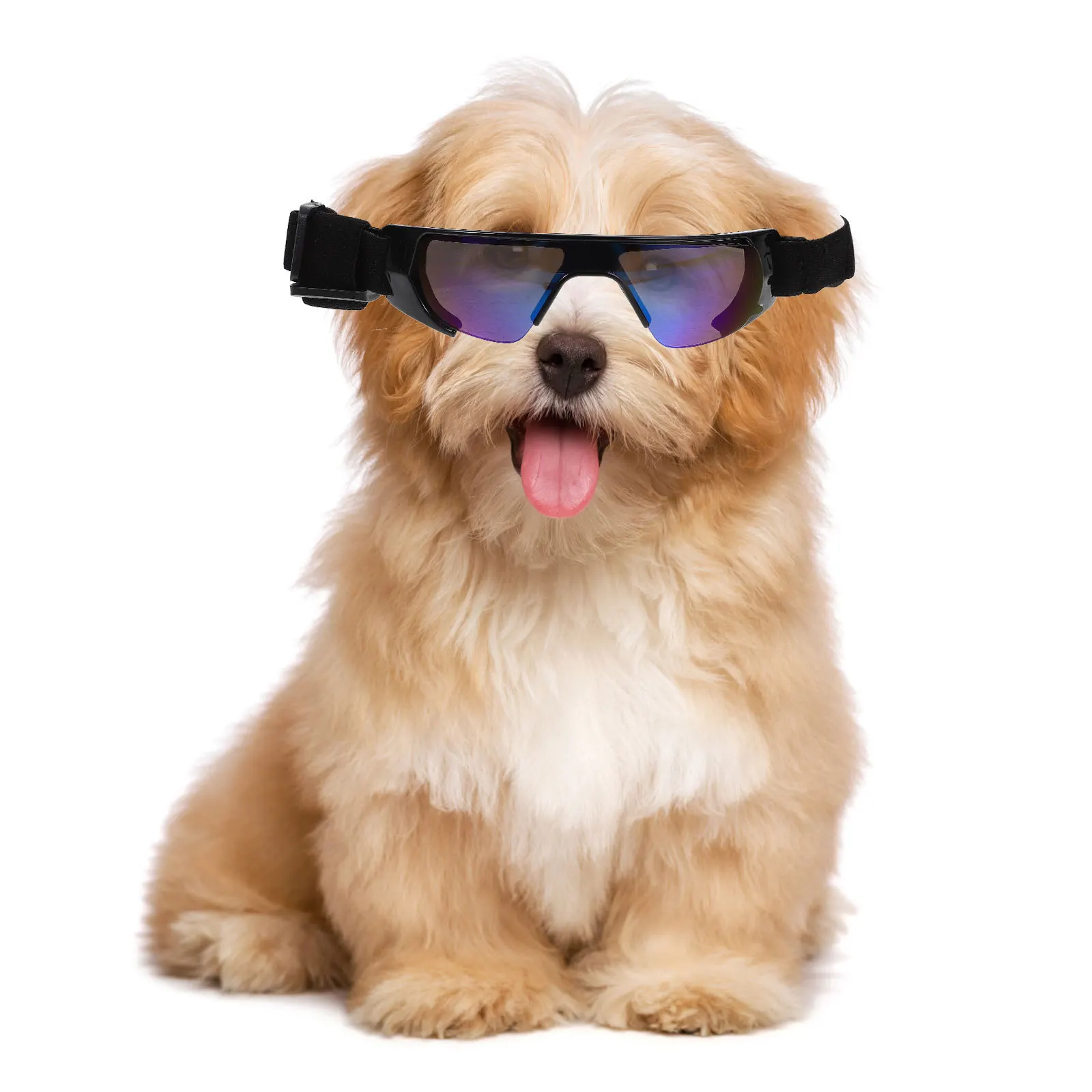 

Windproof Pet Sunglasses Uv Protection Dog Goggles Stylish Eye Wear for Small Dogs Dog Sunglasses Pet Eye Wear