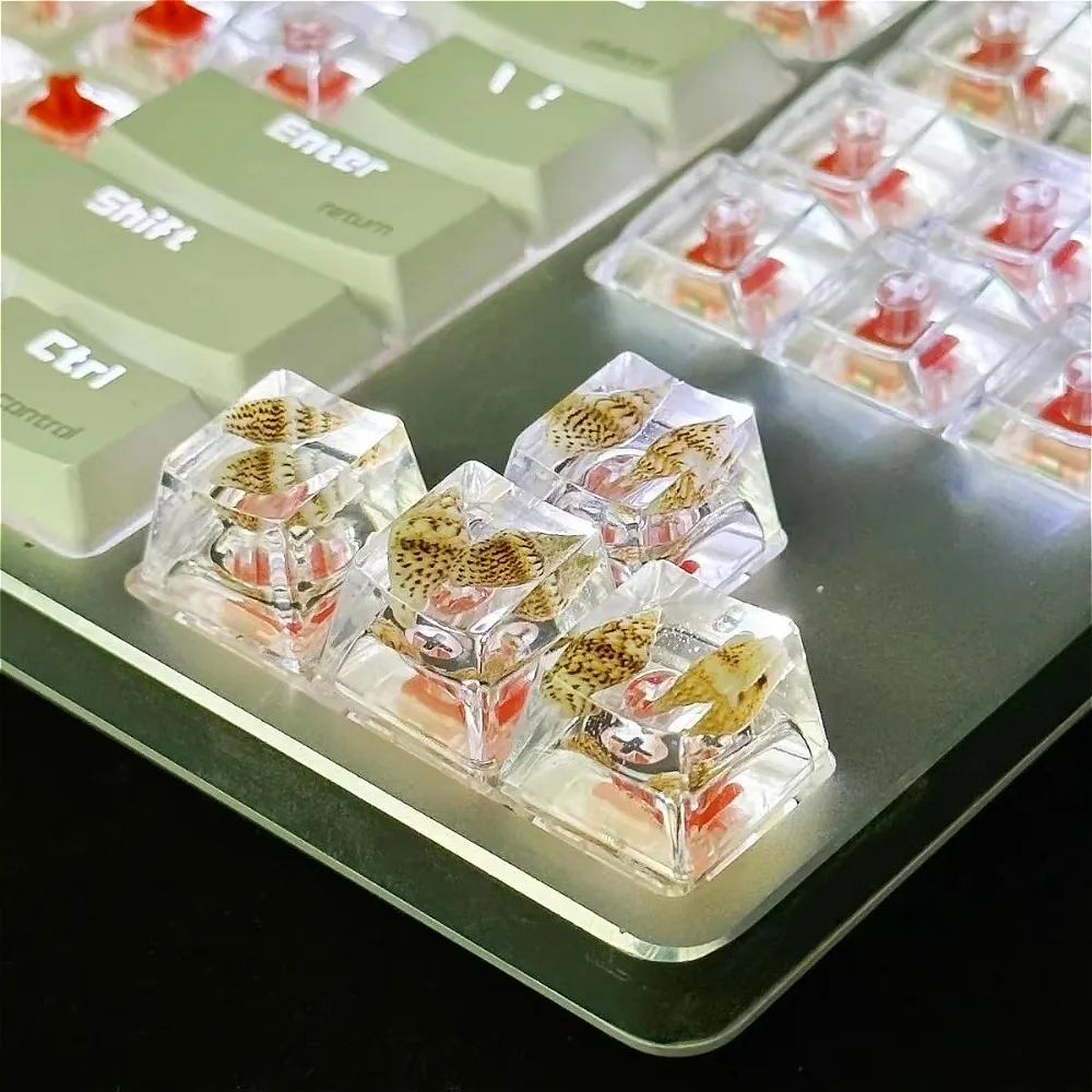 

Conch Starfish single keycap high-transparency personalized small fresh cross shaft mechanical keyboard keycaps