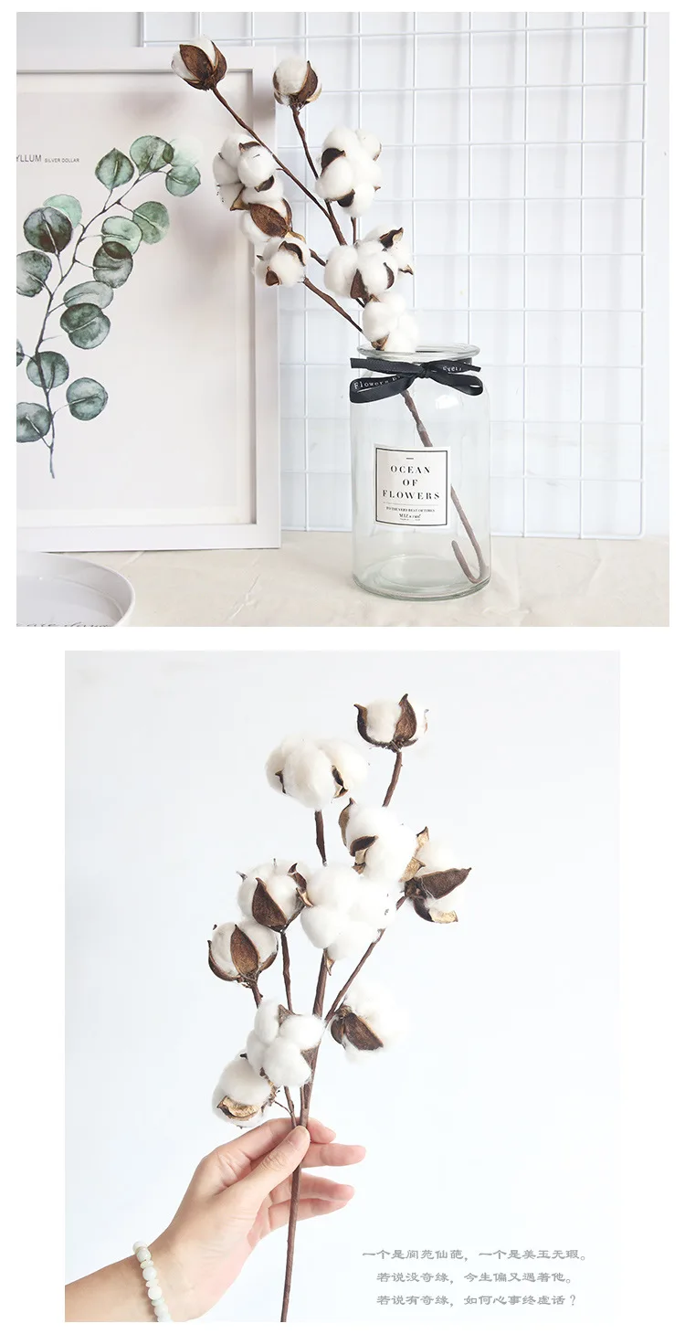 1pc Künstliche Pflanzen Natürlich Getrocknete Baumwolle Floral Zweig Vase Hochzeit Garten Party Diy Dekoration Gefälschte Blumen Hause Zimmer decor – Detail 17
