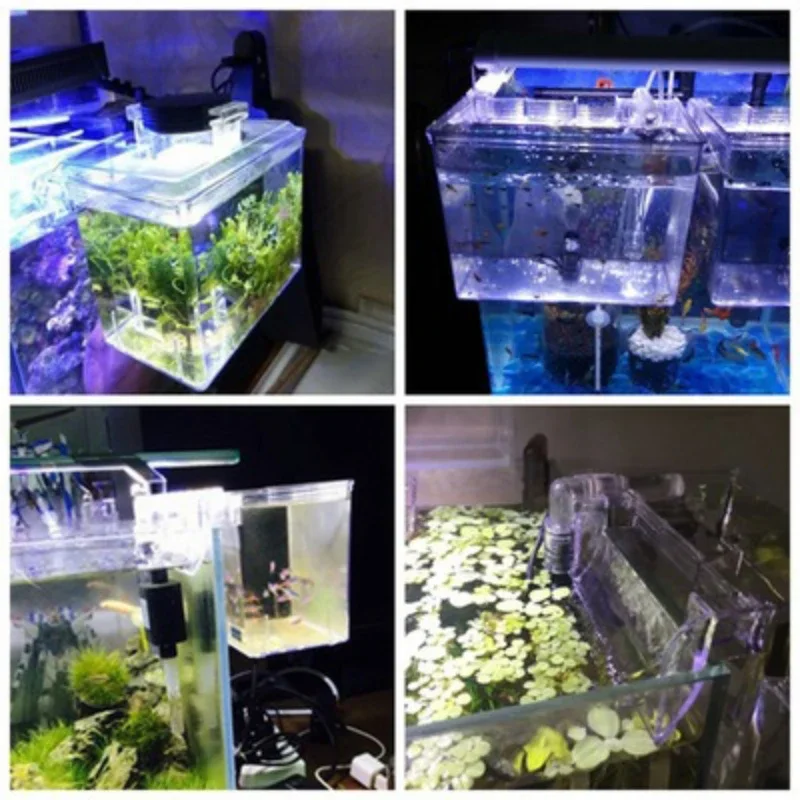 

aquarium BB10 BB11 External Incubator Isolation Box with Water Pump External Algae Tank fish tanks fish bowl artemia