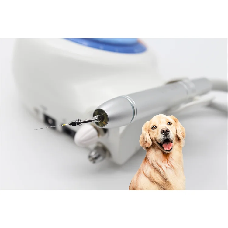 Vet Materials den  tals Examination Kit den  tal Veterinary Ultrasonic Scaler With Water Supply