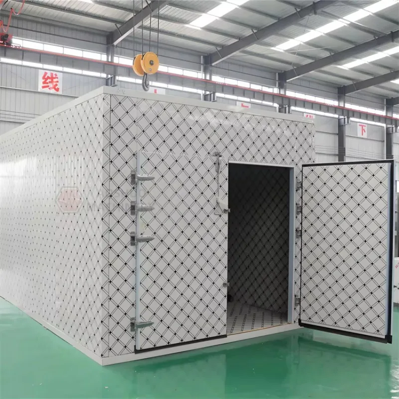 Customized Mango Blueberry Apple Drying Oven Automatic High Output Noodle and Petal Drying Machine