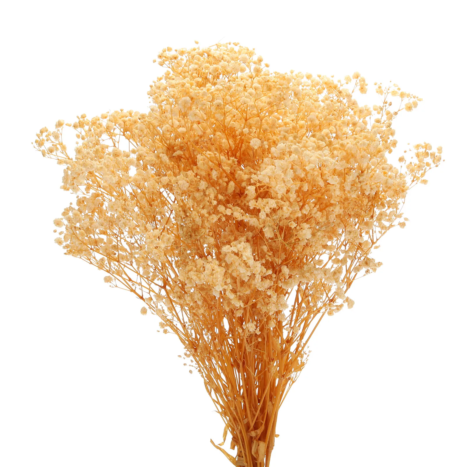 

2 Pcs Dried Baby's Breath Flowers 17 Inch Natural Baby's Breath Branches for Wedding Party Home Decoration