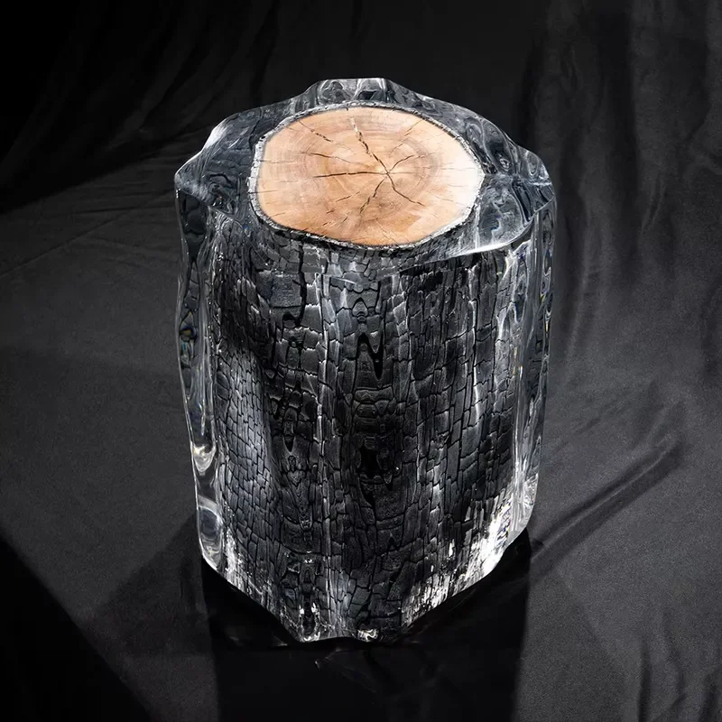 Natural Wood Stump Acrylic Coffee Table Edge Side Table Living Room Home Decor Paperweight Burning Wood Frame Decoration