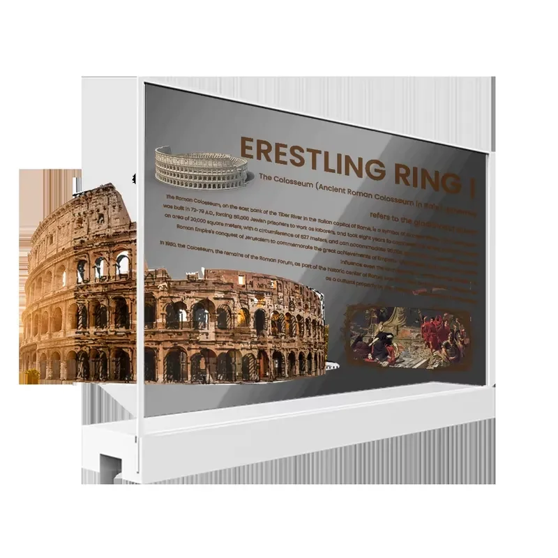 55'' Smart Interactive OLED Transparent Indoor for Theaters Museum Digital Signage OLED Screen