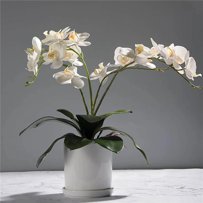 AB45 Phalaenopsis Orchids Leaves Artificial Real Looking Roots Latex Contact Plants Green Faux Leaf Arrangement,12 PCS