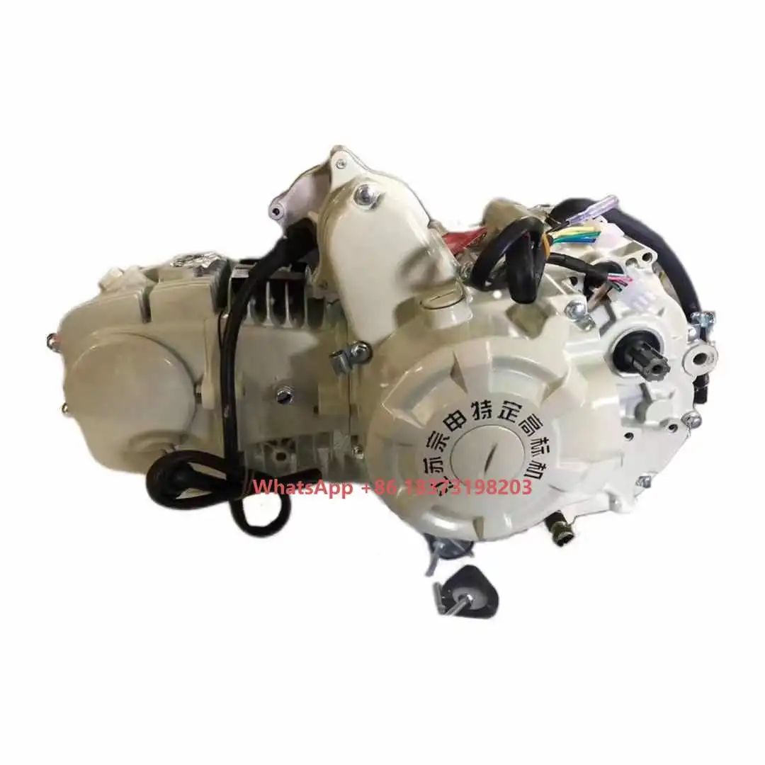 

Parts of Motorcycles 4-stroke Single Cylinder Engine Assembly for Chinese Zongshen Motorcycle Engines