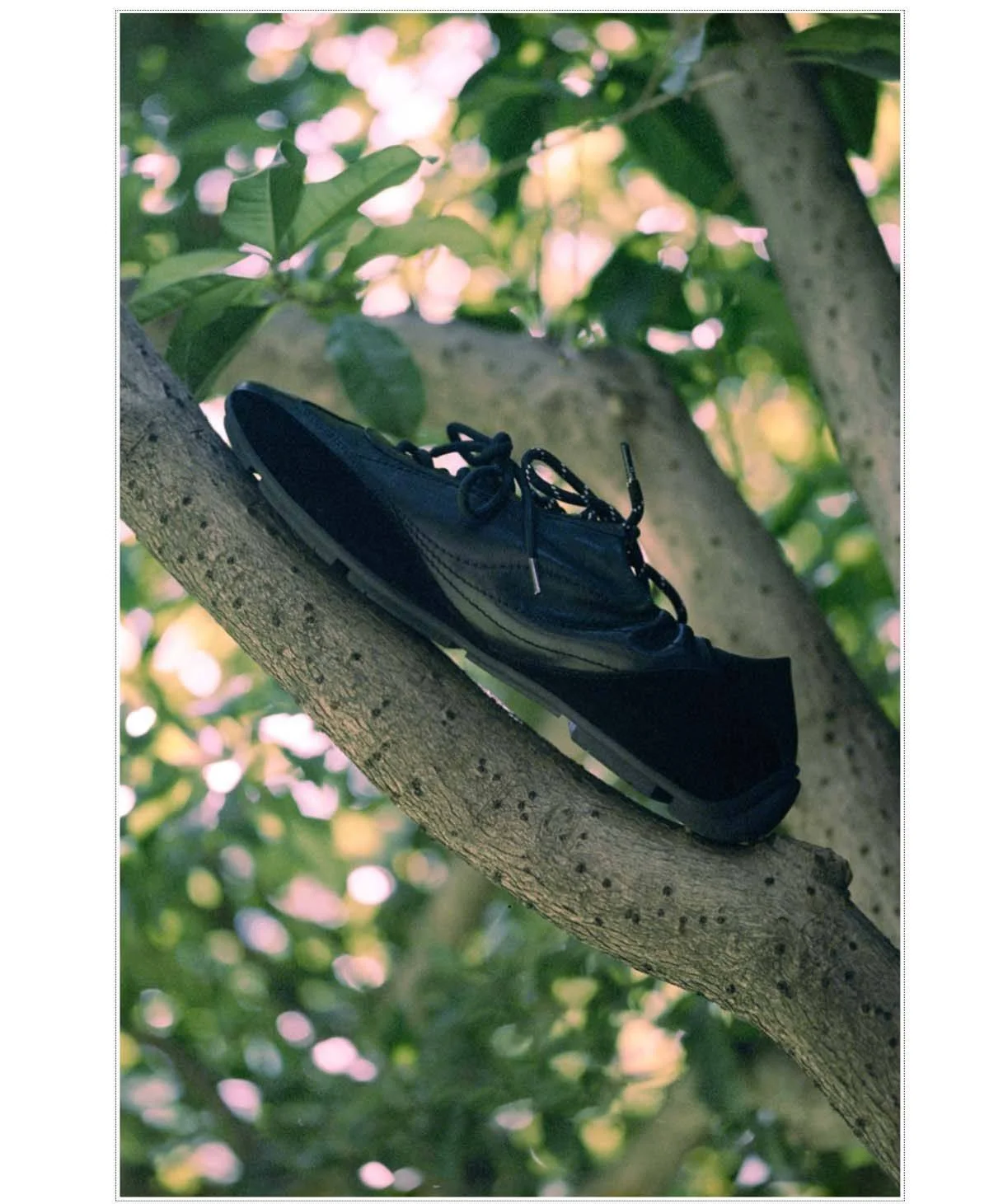 

Men's Sports Shoes Casual Shoes Mens Cushioned Sneakers Outdoor Waterproof Slip Resistant Wearable Walking Shoes