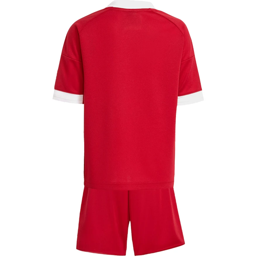 2025 2026 リバプールレス 大人用シャツキット 25 26 リバプールレス キッズキット スポーツシャツ