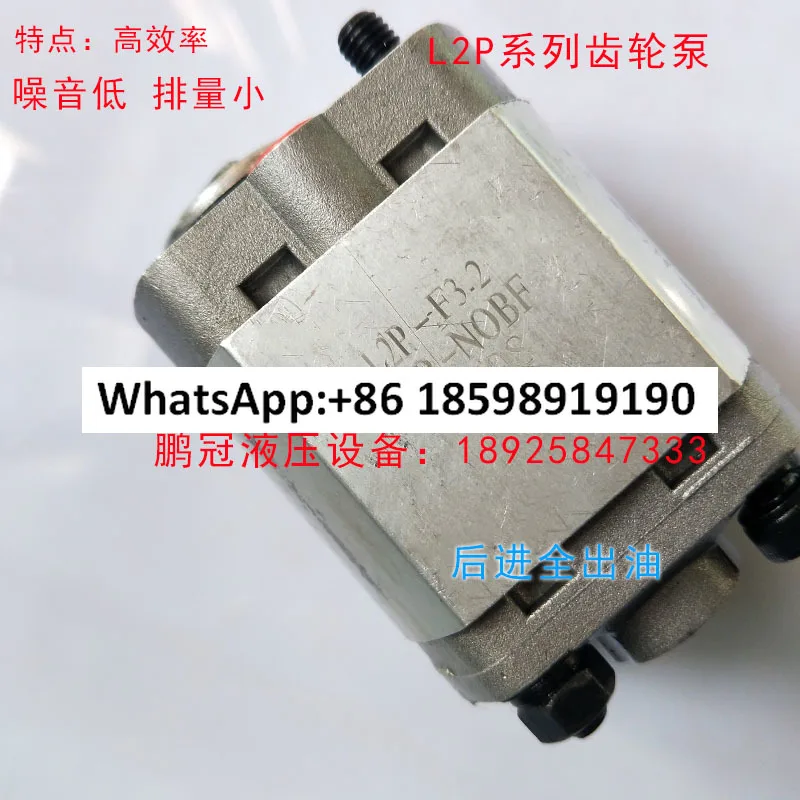 pompe-a-engrenages-l2p-f1-6f-lkb-nobf-f4-2-f2-1-f26-l2p-f3-2