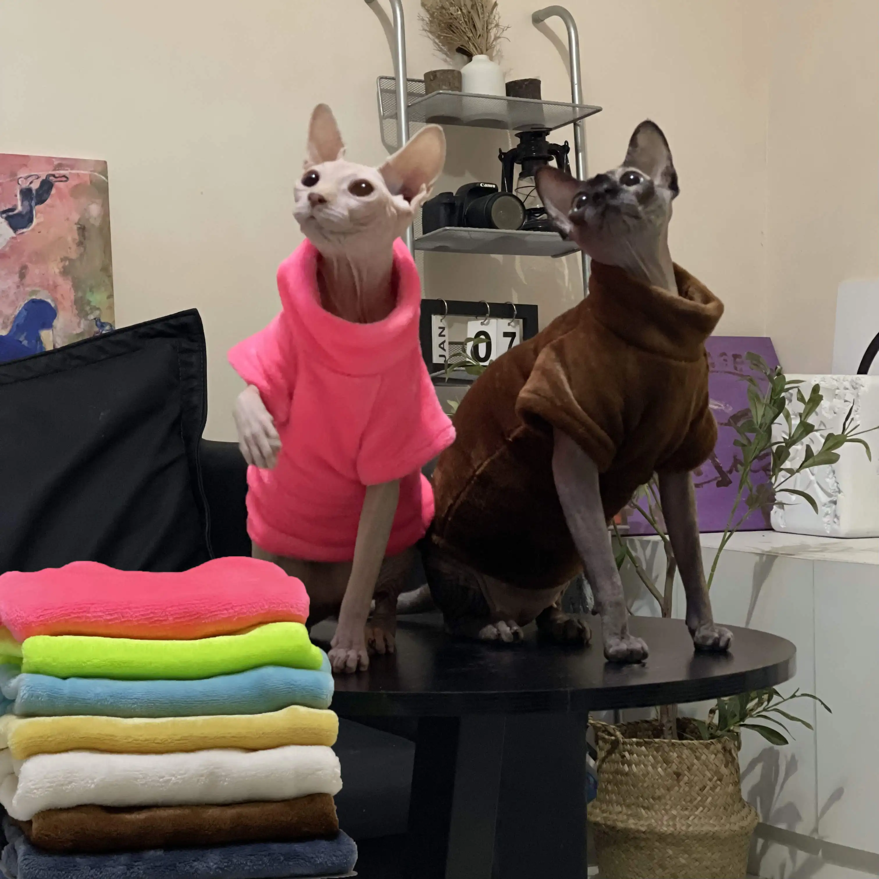 Hairless cat clothes winter thick double-sided sable flannel high collar warm plus fleece Devens Finks cat clothes