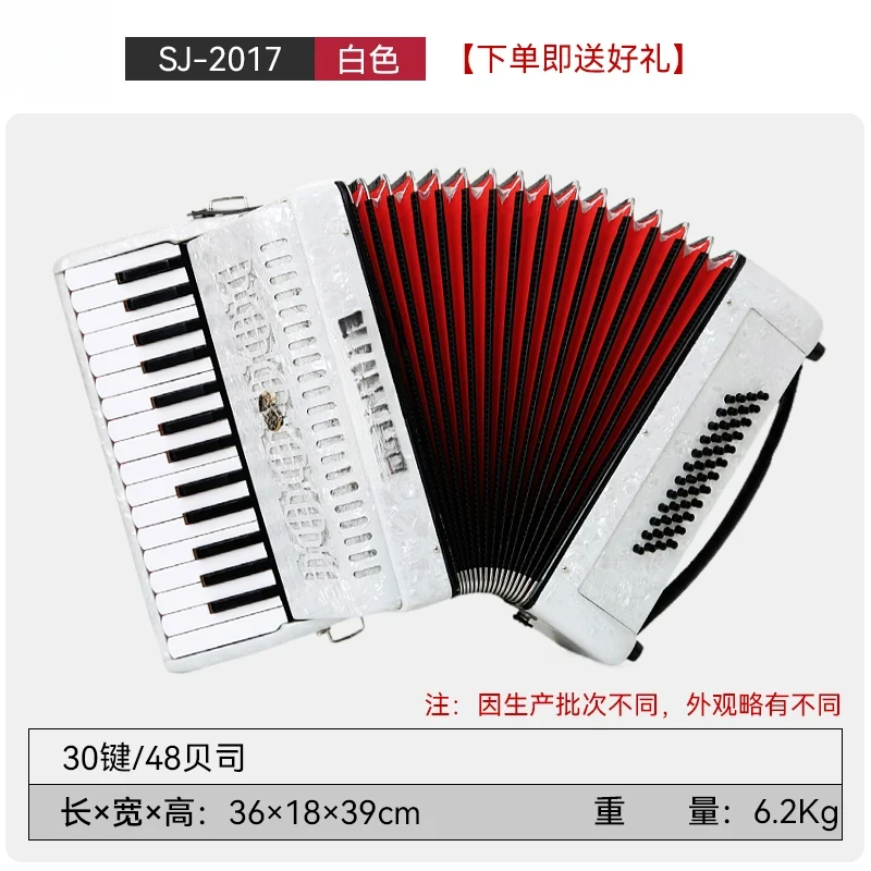 SJ Accordion Bass 120 Keys Adult Grand Piano Beginner Introductory Professional Instrument
