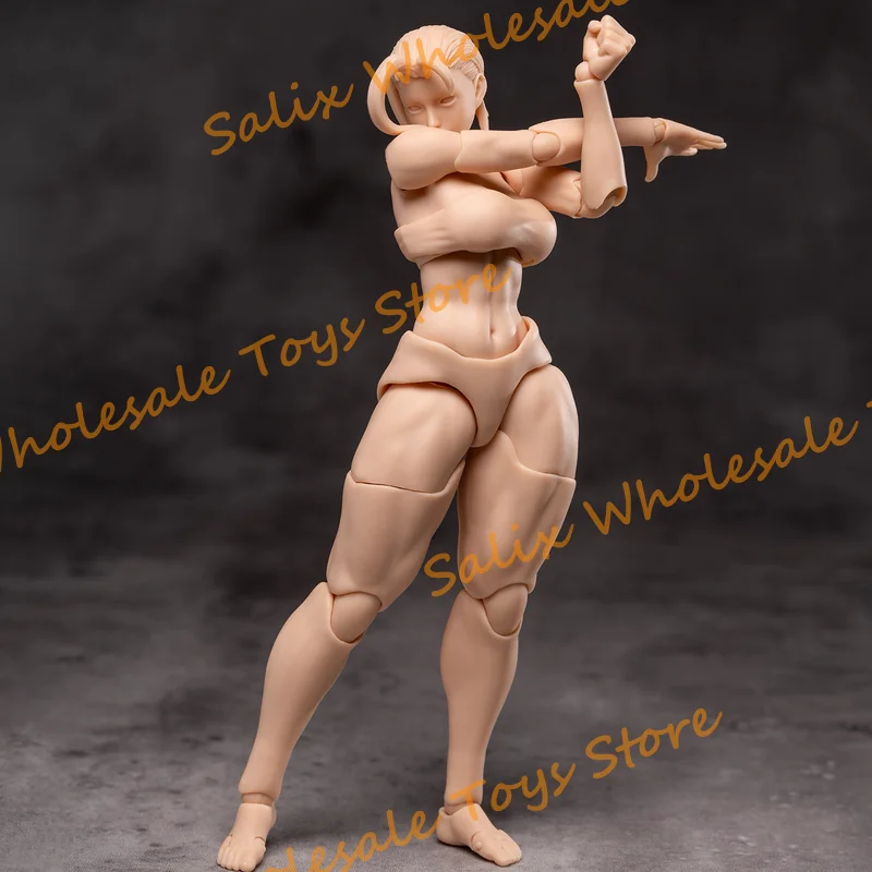 Whale Works WW02-A RIN 1/12 超可動女性素体 WHALE WORKS 1/12 スケール超可動女性ボディ人形可動目付き